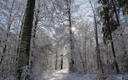 Zeitqualität Rückzug im Winter